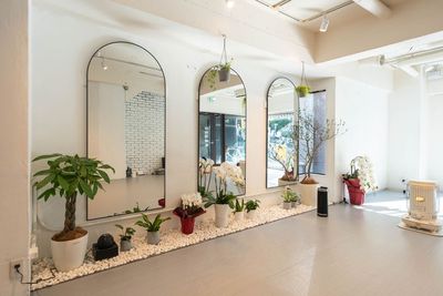 Serenity Flow Yoga レンタルスペース・ヨガ　ピラティス　ダンス　撮影に最適【代官山】の室内の写真