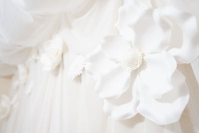 壁には白いお花がいっぱい！ - ホワイトオン天満の室内の写真