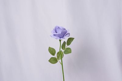 白布背景 - White Butter, Studio White Butter,の設備の写真