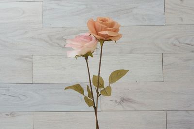 白木目壁 - White Butter, Studio White Butter,の設備の写真