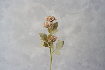 コンクリ風壁紙 - White Butter, Studio White Butter,の設備の写真