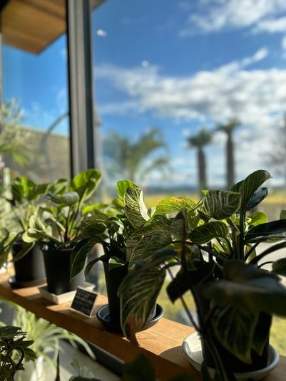 貸切できるレンタルスペース - レンタルスペース「NItoWA」