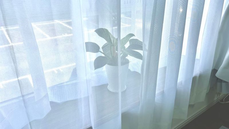 岡大裏レンタルスペース - 岡大裏レンタルスペース