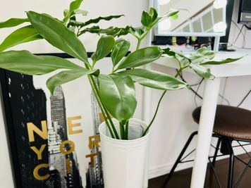 観葉植物もあります - レンタルスペース【ハープRoom】 🍀ハープcafeスタイル岡大裏【102】の室内の写真