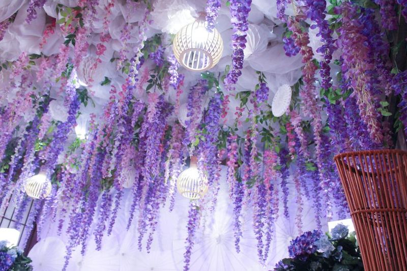 レンタル撮影スタジオ - HACOSTUDIO LAN