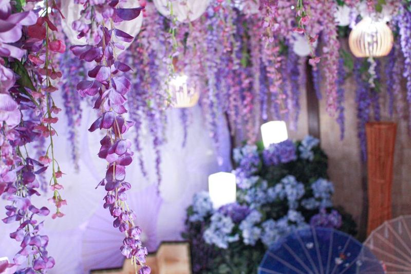 レンタル撮影スタジオ - HACOSTUDIO LAN