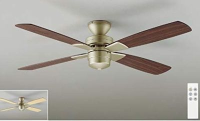 シーリングファン 　お部屋全体を夏・冬と調整できます - 札幌｜G-Studio　JTBS 札幌 南 店 レンタルサロン 【G-Studio】ジースタジオの設備の写真