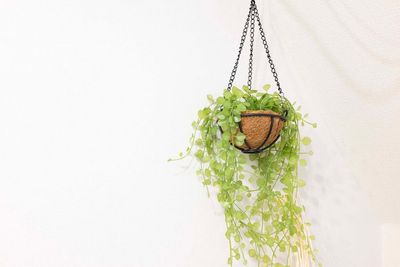 POI POI（ポイポイ）錦糸町1 完全貸切のレンタルスペース 錦糸町✨人気の北欧風インテリアの室内の写真