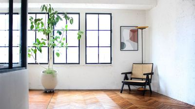 studio rauque（スタジオローク） Studio rauqueの室内の写真