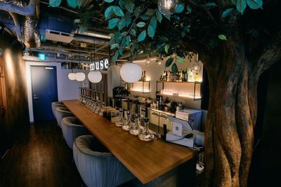 オープンキッチンのカウンター席 - シーシャカフェ＆バー muse下北沢 レンタルスペースの室内の写真