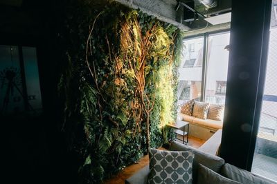 窓際の席には壁一面の緑が。 - シーシャカフェ＆バー muse下北沢 レンタルスペースの室内の写真