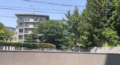 窓から見た、松が丘公園側の景色 - 明舞第二センタービル Buddy Training Studioの外観の写真