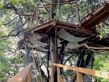 ツリーハウス - Kamakura Base Kamakura Base 鎌倉山　別荘一等貸し／スタジオの室内の写真