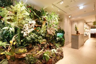 レンタルスペース夢華居 キッチン付きの入口の写真