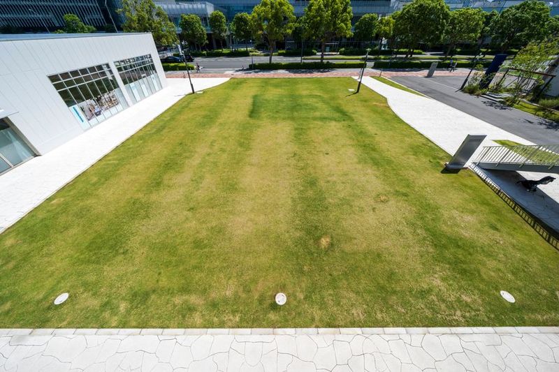 イベントスペース芝生広場 - LIVINGTOWN みなとみらい