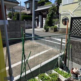 カフェキャビン  キッチン カフェ 飲食店 間借り 菓子製造業 おもちゃの室内の写真