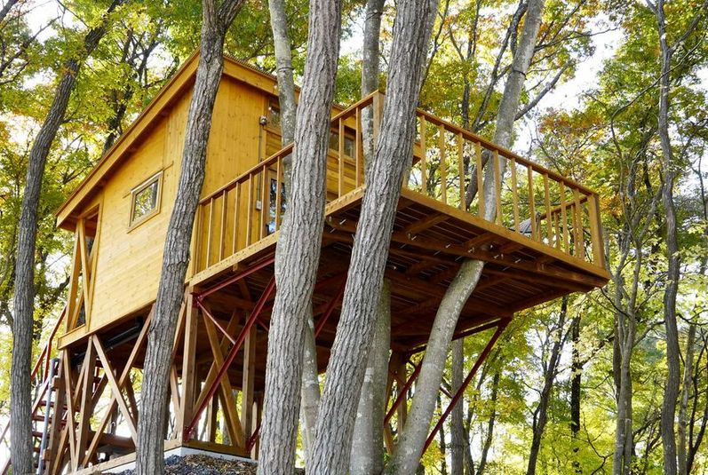 ツリーハウス - TSUNAGARI NO MORI 