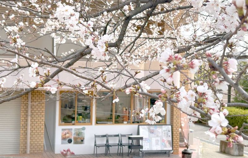 レンタルスペース　多目的スペース - atelier un momon アトリエアンモモン