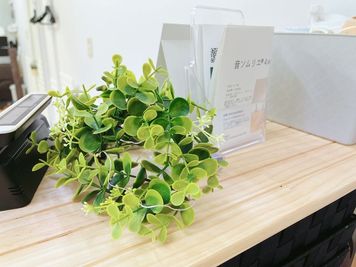 入り口飾り - プライベートサロンくろねこスタジオ 【JR大森駅東口徒歩6分】プライベートサロンくろねこスタジオの入口の写真