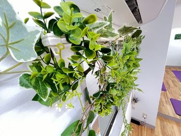 グリーンのある爽やかな空間 - プライベートサロンくろねこスタジオ 【JR大森駅東口徒歩6分】プライベートサロンくろねこスタジオのその他の写真