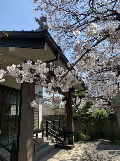 瞑想、ヨガ、お顔合わせ、など多様な用途でご利用頂けるスペース - TOTAL ZEN PLACE "CHIZENJI" 智禅寺院