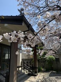 四季の移ろいを感じて頂けます！ - TOTAL ZEN PLACE "CHIZENJI" 智禅寺院 瞑想、ヨガ、お顔合わせ、など多様な用途でご利用頂けるスペースの入口の写真
