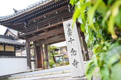 宗教法人 十念寺 十念寺　本堂・会館の外観の写真