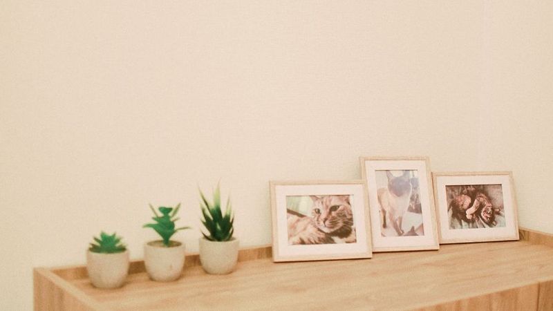 北欧🩵と猫🐱のまったり空間☕大迫力スクリーンで映画デート💕 - hygge北堀江