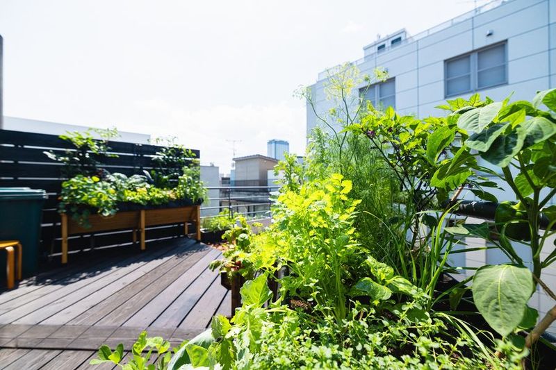 Mo:take STUDIO 代官山 - Mo:take STUDIO 代官山