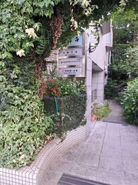 道路から見た入り口です - スタジオ・ミキ ダンススタジオ、スタジオ・ミキの入口の写真
