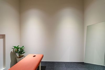 大型鏡が2つ設置されています。 - 【新宿御苑前の新店舗】【完全個室型レンタルサロン】エステ・整体 新宿御苑前：完全個室レンタルサロンの室内の写真