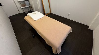 フルリフォーム済み！出張エステサロンや整体マッサージの施術を行えます。昇降式の施術ベッドも完備。 - 赤坂・溜池山王の貸スペース