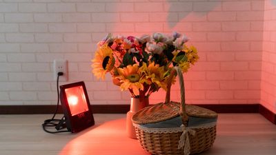 742_OsakaWanodeの室内の写真