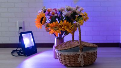 742_OsakaWanodeの室内の写真