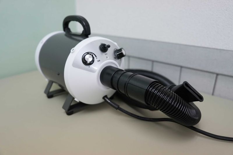 ペットのセルフシャンプー専門店 - Dog Salon QC(ドッグサロンキューシー)