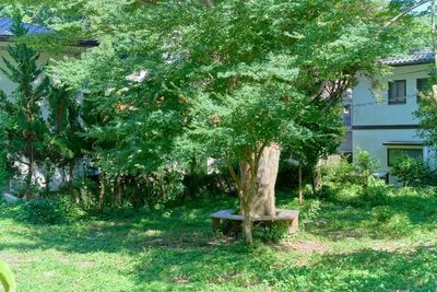 Art of Life 山の音 商用撮影Plan★167坪の庭と家屋貸し切りPlanの室内の写真