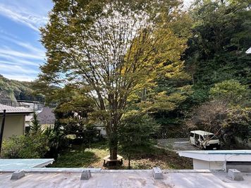 2階からの眺望。けやきは冬になると葉が落ちます。 - Art of Life 山の音 商用撮影Plan★167坪の庭と家屋貸し切りPlanの室内の写真