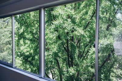 7階から見える靭公園の自然に癒やされます。ヨガレッスンも◎ - nook |ヌーク 多目的スペースのその他の写真
