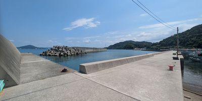 駐車場を右手に進むと戸坂漁港の岸壁です。昼間は自由に釣りができます。夜釣りは禁止です。 - サマーヤリゾート 戸田漁港 (海南市下津町)のその他の写真