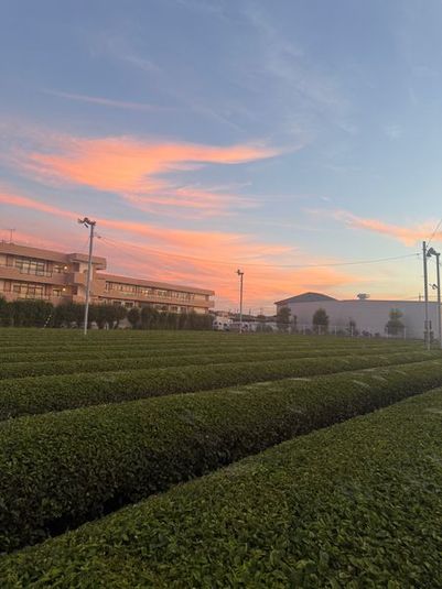 小顔屋-kogaoya- 和モダン完全個室サロン - レンタルスペース「小顔屋-kogaoya-」入間