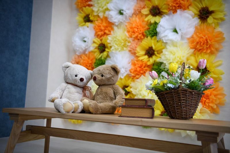 Meets Studio GION - Multi Studio GION 小山店