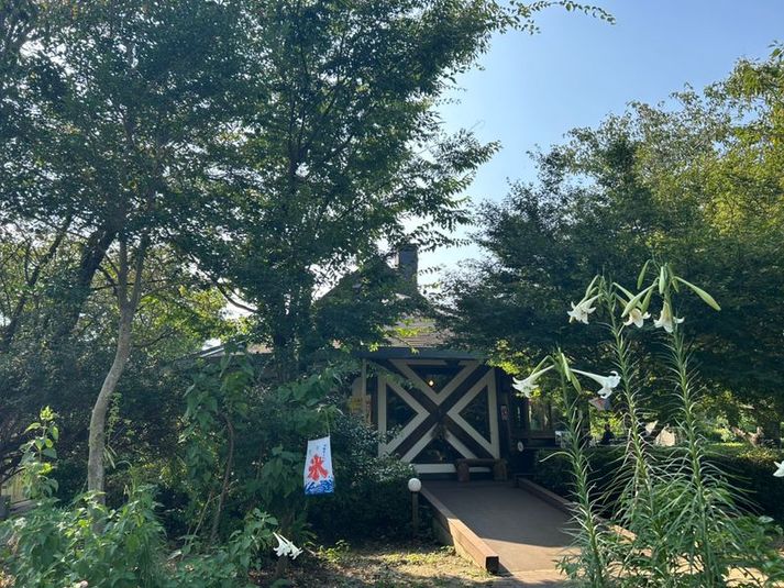 どんぐりの森　個室 - どんぐりの森