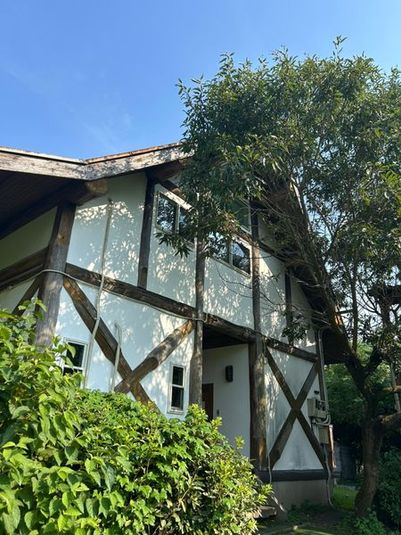 どんぐりの森　個室 - どんぐりの森