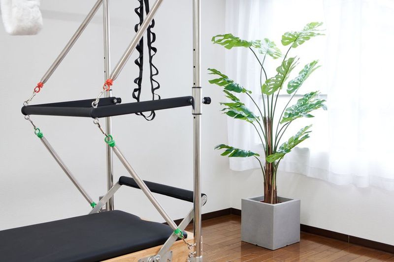 マシンピラティス レンタルスタジオ　BELA - ピラティススタジオ bel.（ベル）