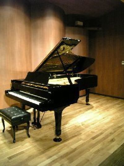 ホール貸切（練習、リハーサル等の非商用利用プラン） - 自由ヶ丘フォレストホール