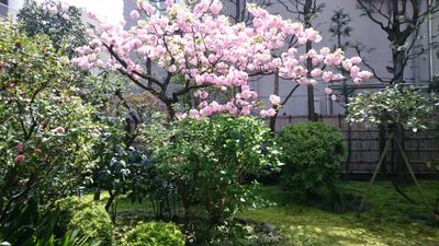 SPACE R イベントスペース(終日プラン)の室内の写真