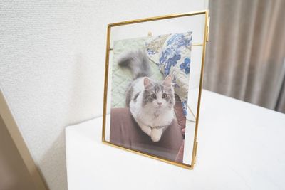 シャイジール千種の室内の写真
