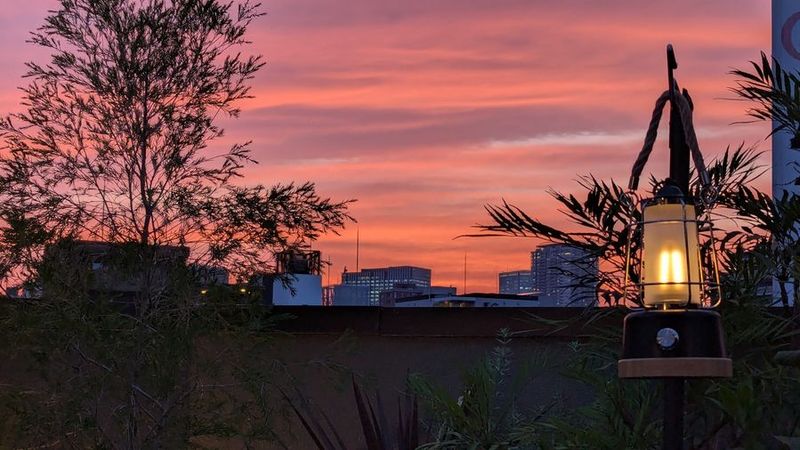 ヒツジビルR - ヒツジビルＲ