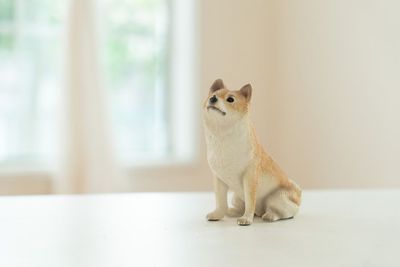 滝川トレーラーハウススタジオ 自然光あふれるアメリカンスタイルなトレーラーハウスの設備の写真