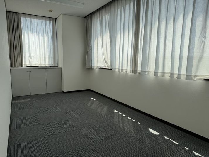 ミラー付きダンススタジオ - セントラルビル401ダンスホール